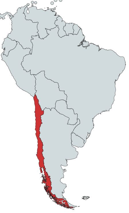 s-8 sb-6-Countries of South Americaimg_no 280.jpg